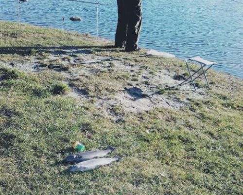 Forellensee Kleinvollstedt bei Warder
