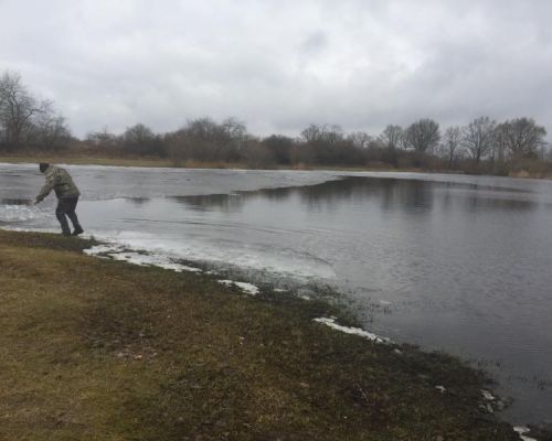 Angelsee Kleinvollstedt Bilder aus dem März 2018