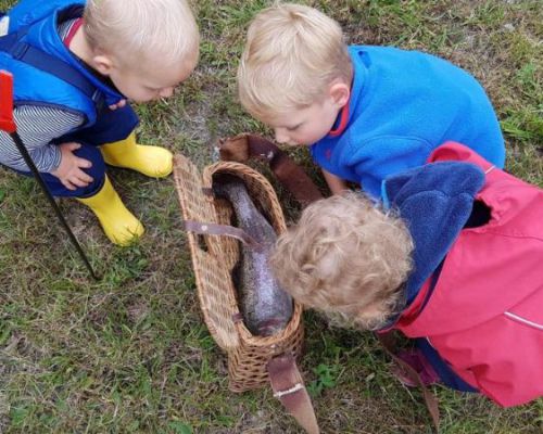 Angelsee Kleinvollstedt Bilder aus dem Juli 2019